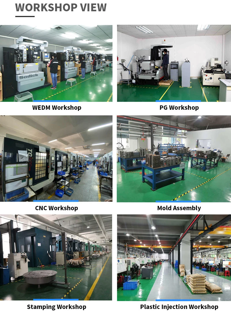 Customized Sheet Metal Progressive Die Tooling Cold Stamping Die